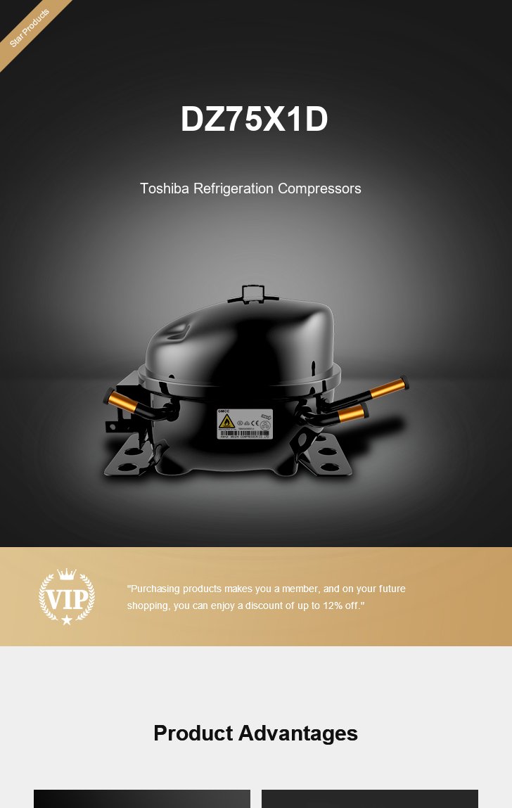 Toshiba Compressor DZ75X1D, technical parameters pdf, structure diagram